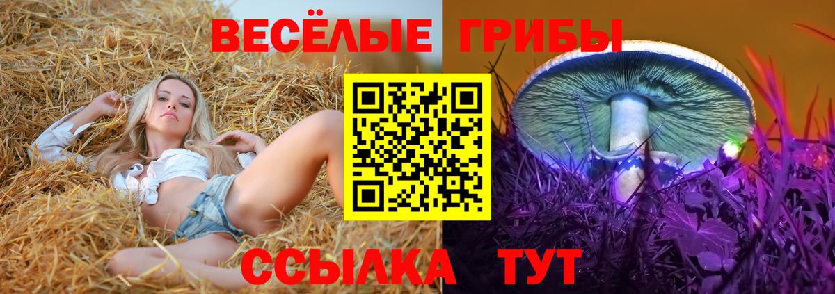 Волоколамск  Псилоцибиновые грибы мухоморы  Вход с VPN 