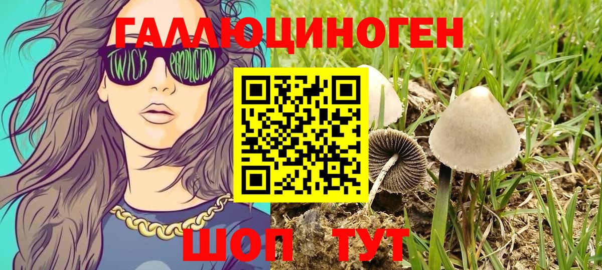 Галлюциногенные грибы мицелий Волоколамск